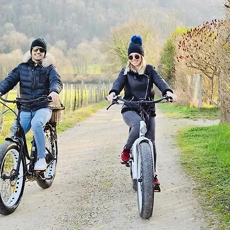 Les Du Domaine De Suzel 3* Vignieu