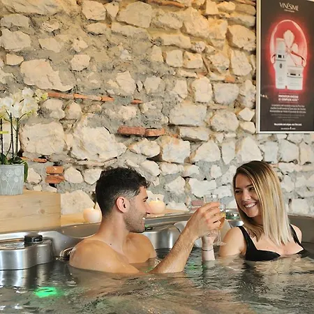Les Du Domaine De Suzel 3* Vignieu
