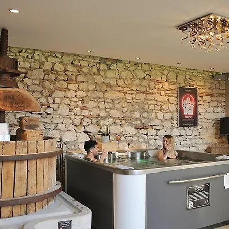 Les Du Domaine De Suzel Hotel Vignieu
